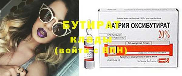 сатива Надым