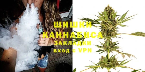 шишки Алзамай