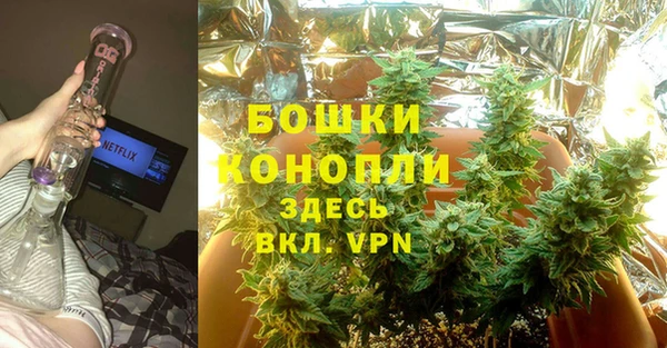 шишки Алзамай